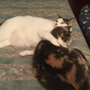 Meet your Posher, Frances